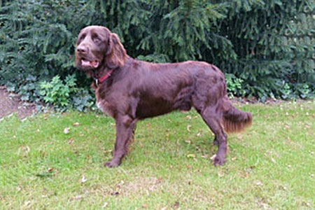 Bond von der Frankenhöhe