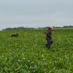 Feld Gruppe 2 1