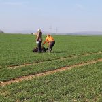 Gruppe 1   Ansetzen Hasenspur