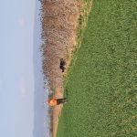 Gruppe 1   Vorstehen